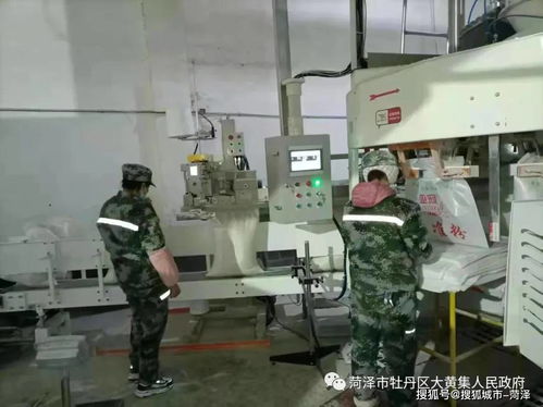 牡丹區大黃集鎮新年過后虎虎生威生產忙