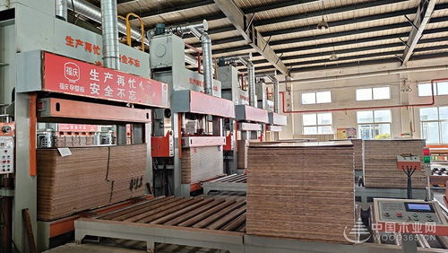 福慶孕嬰板綠色工廠開放日 領略品質工藝,守護孕嬰未來