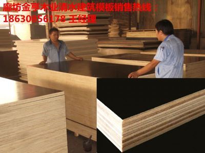 廊坊金亨木業歡迎您來廠里考察18630856178_建筑建材_世界工廠網