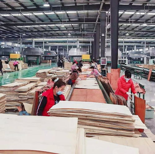 中國千洛木業 乘消費升級東風,多品牌運營能力出眾