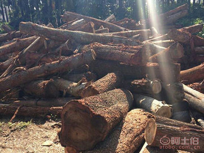 【怡合東莞廠家直銷相思木本色啞光木地板本色啞光高耐磨中式款式原木】東莞市大嶺山怡合木業經營部 - 產品庫