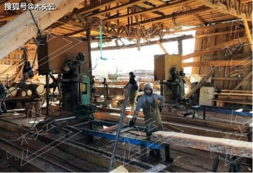 木屑產(chǎn)業(yè)成俄羅斯投資新貴