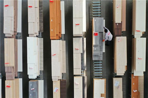 河北唐山 木業產業提檔升級助推高質量發展